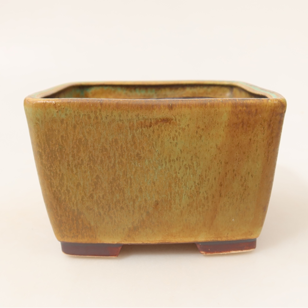 Ciotola bonsai in ceramica 13 x 13 x 8 cm, verde