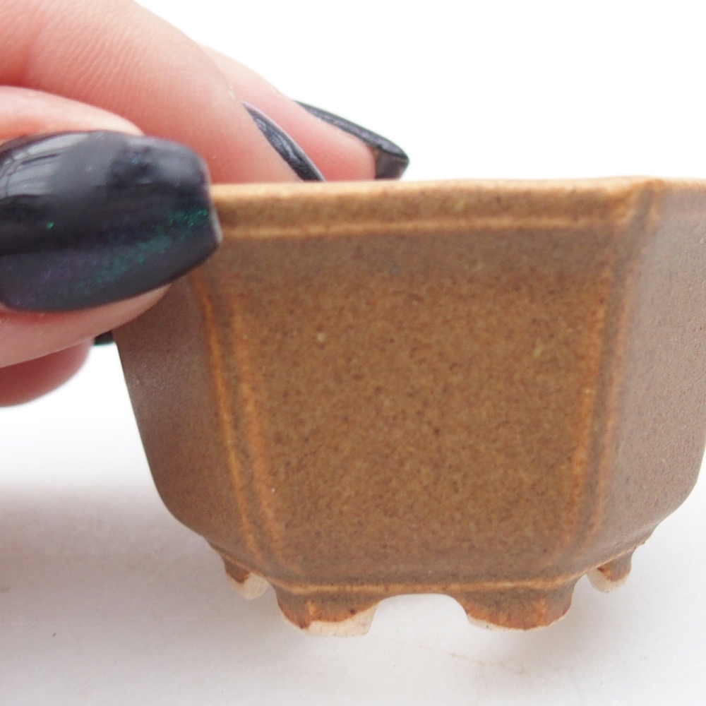 Ciotola per mini bonsai 5,5 x 5 x 3 cm, marrone