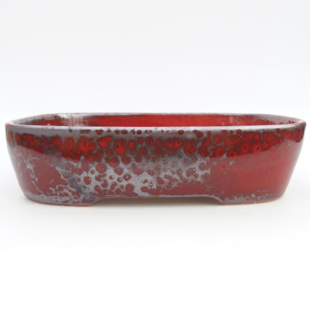 Ciotola per bonsai in ceramica 23 x 18 x 5,5 cm, colore rosso