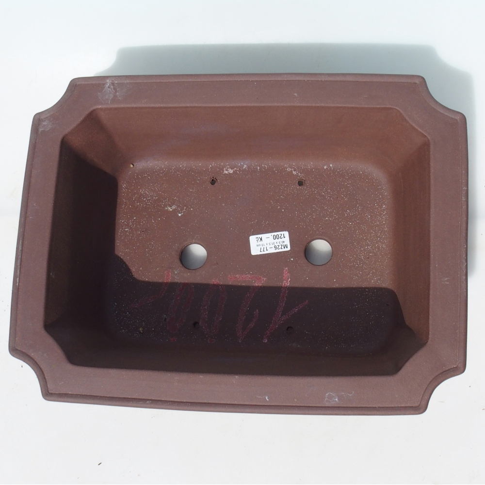 Ciotola per bonsai 40,5 x 31,5 x 13 cm betulla marrone