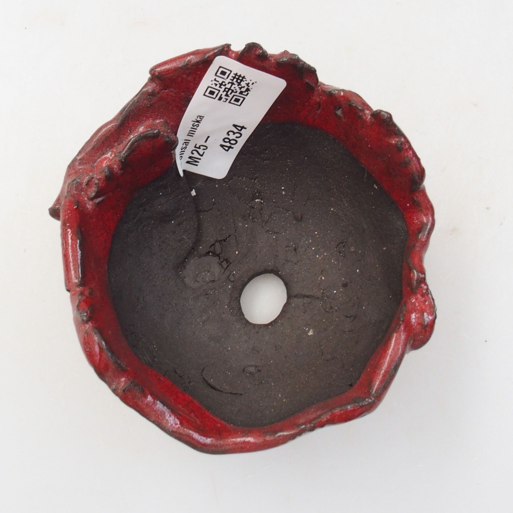 Conchiglia in ceramica 9 x 8 x 5 cm , colore rosso