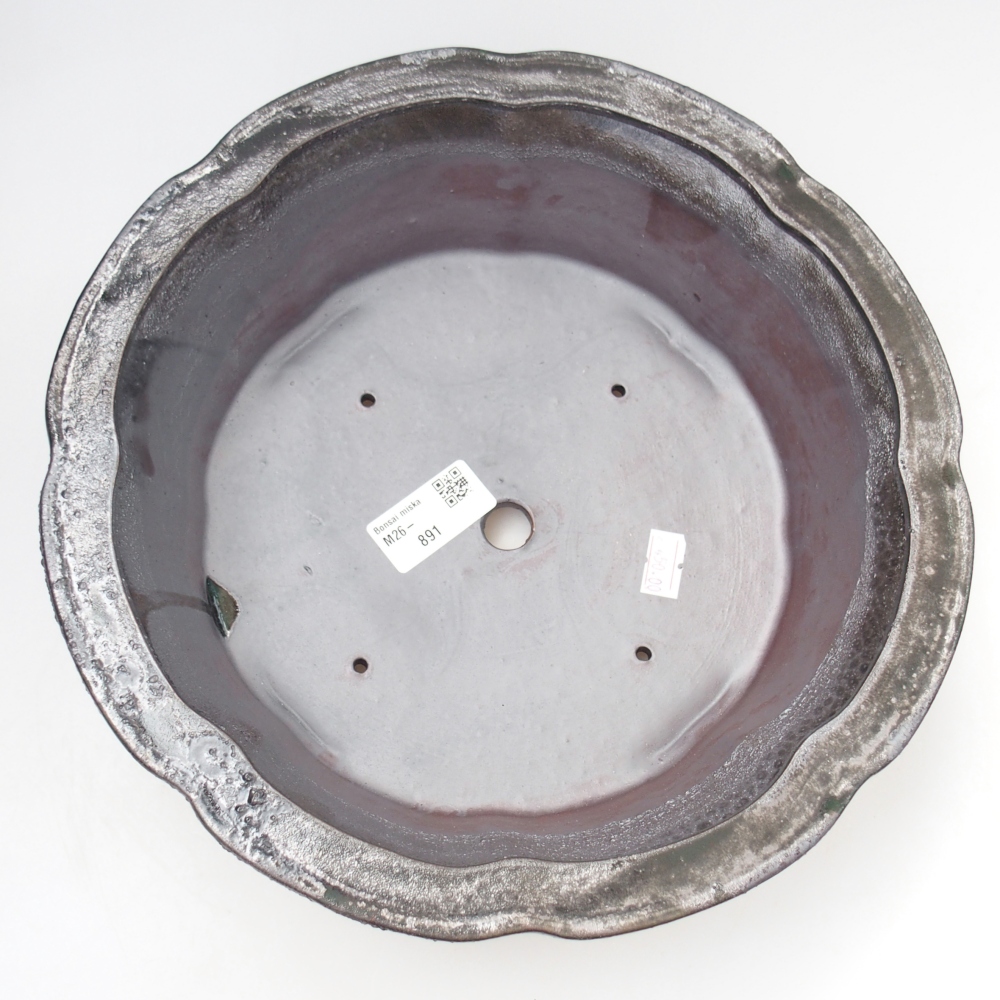 Ciotola per bonsai in ceramica 26,5 x 26,5 x 8 cm, nero