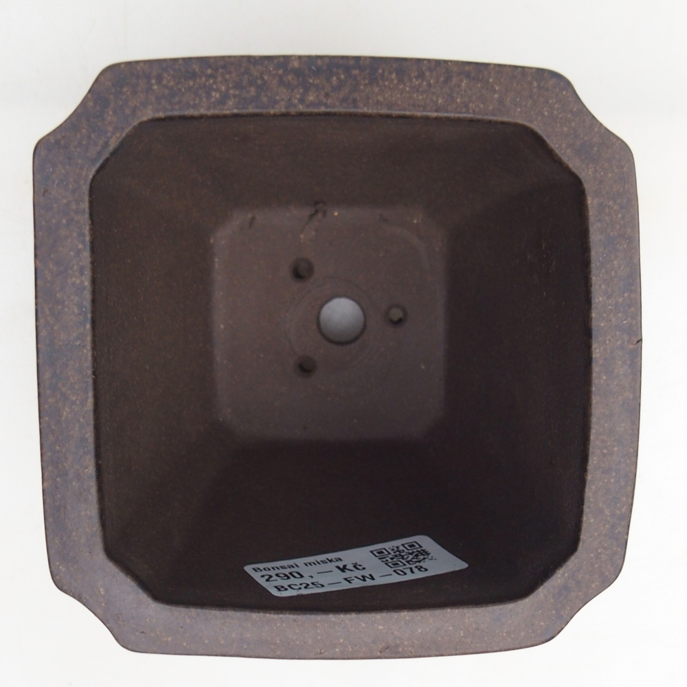 Ciotola per bonsai in ceramica 10 x 10 x 9,5 cm, colore marrone ocra