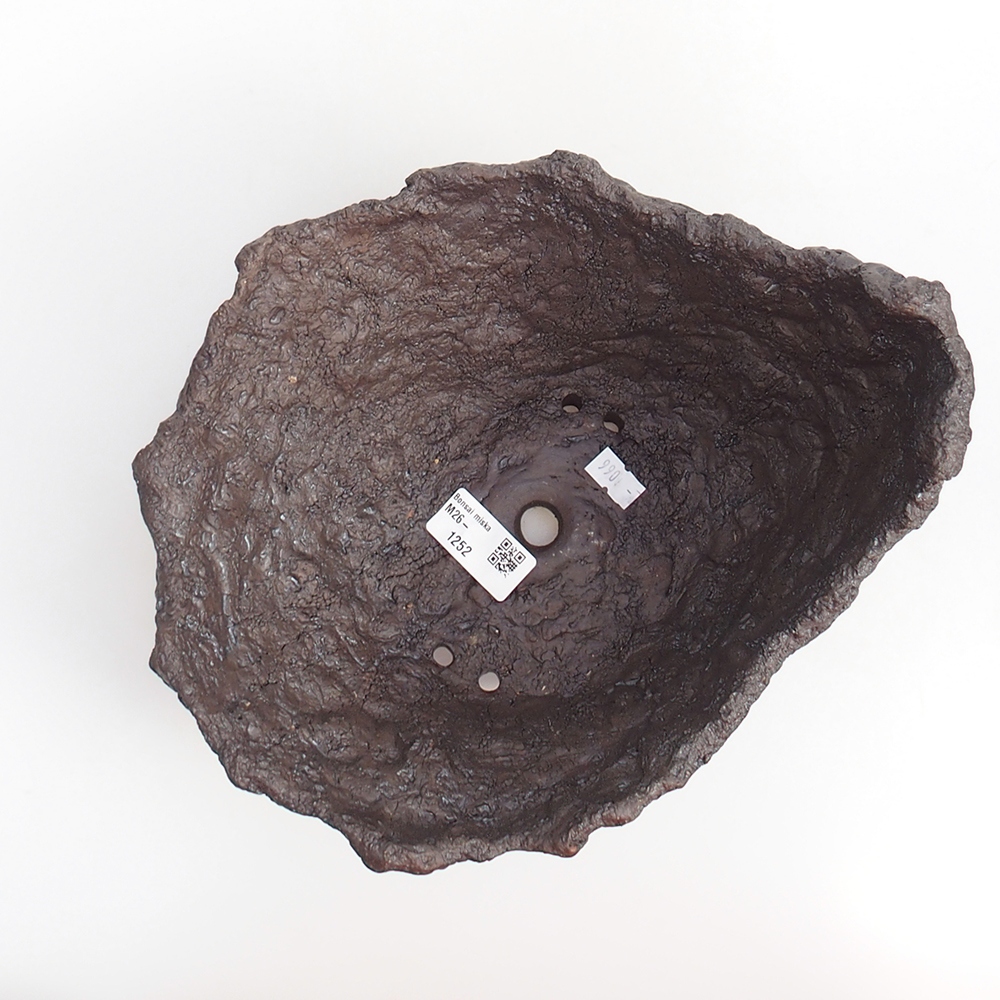 Conchiglia in ceramica 24 x 21 x 16,5 cm , colore marrone