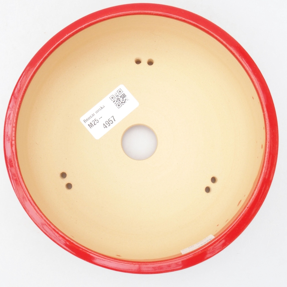 Ciotola per bonsai in ceramica 17 x 17 x 6 cm, colore rosso