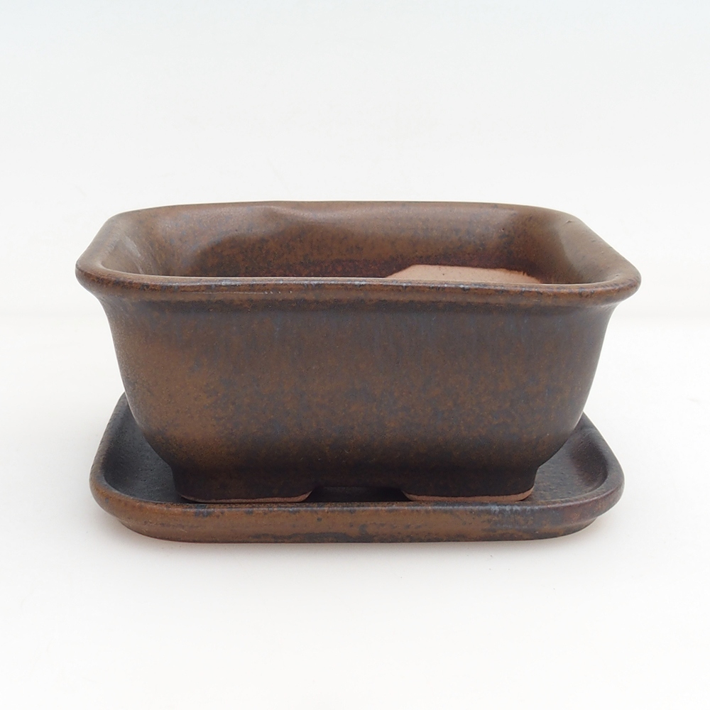 Ciotola bonsai + piattino H11 - 11,5 x 10 x 4 cm - verde