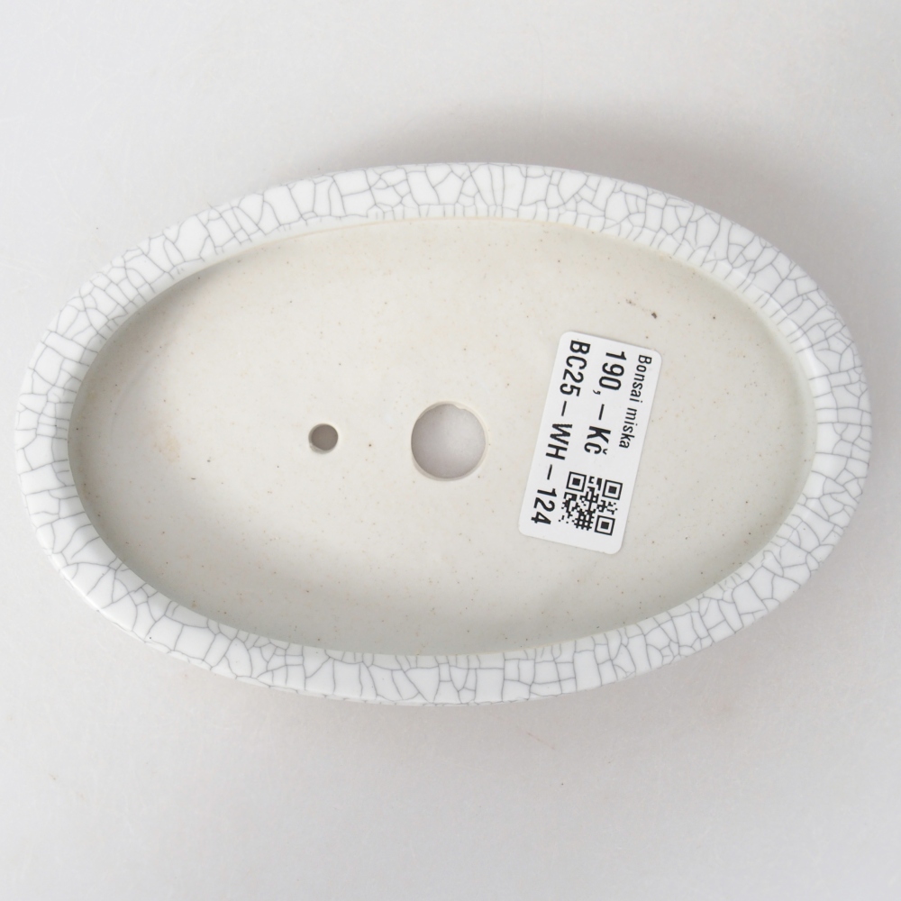 Ciotola bonsai in ceramica 15,5 x 10 x 2 cm, colore raku