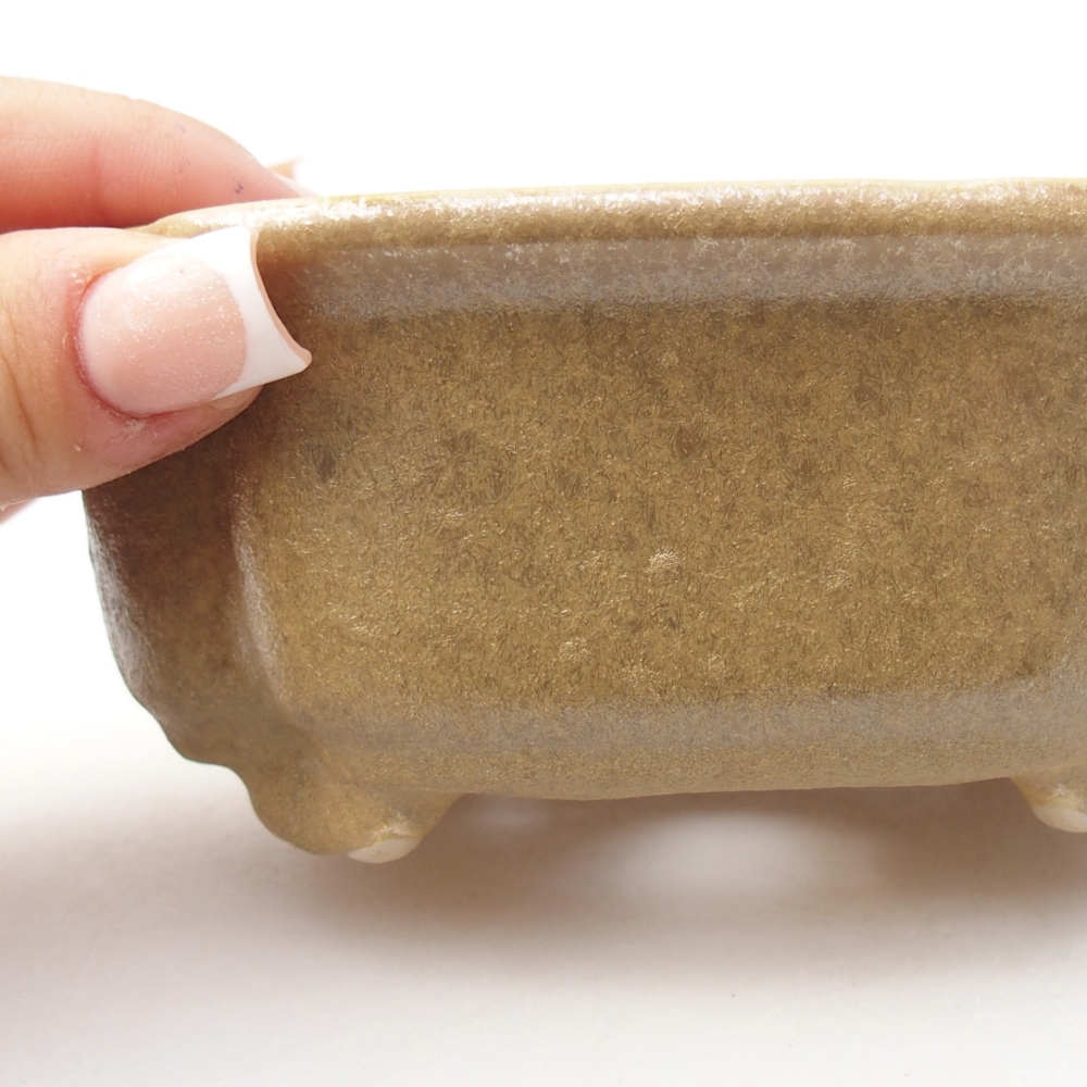 Ciotola bonsai in ceramica 13 x 10 x 5 cm, colore beige