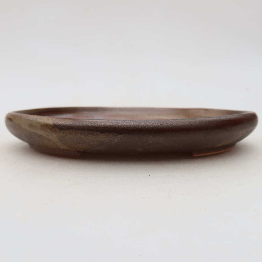 Vaso in ceramica per bonsai 17 x 12 x 2,5 cm, colore marrone