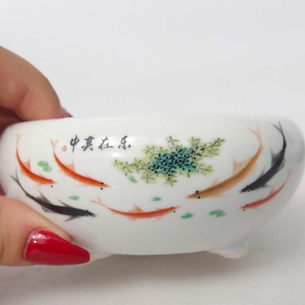 Ciotola per bonsai in ceramica 10 x 10 x 5 cm, colore bianco