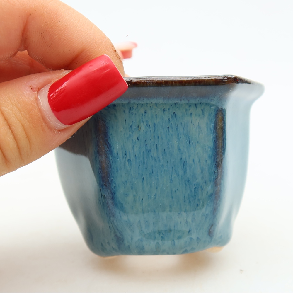Vaso in ceramica per bonsai 7 x 6,5 x 5 cm, colore blu
