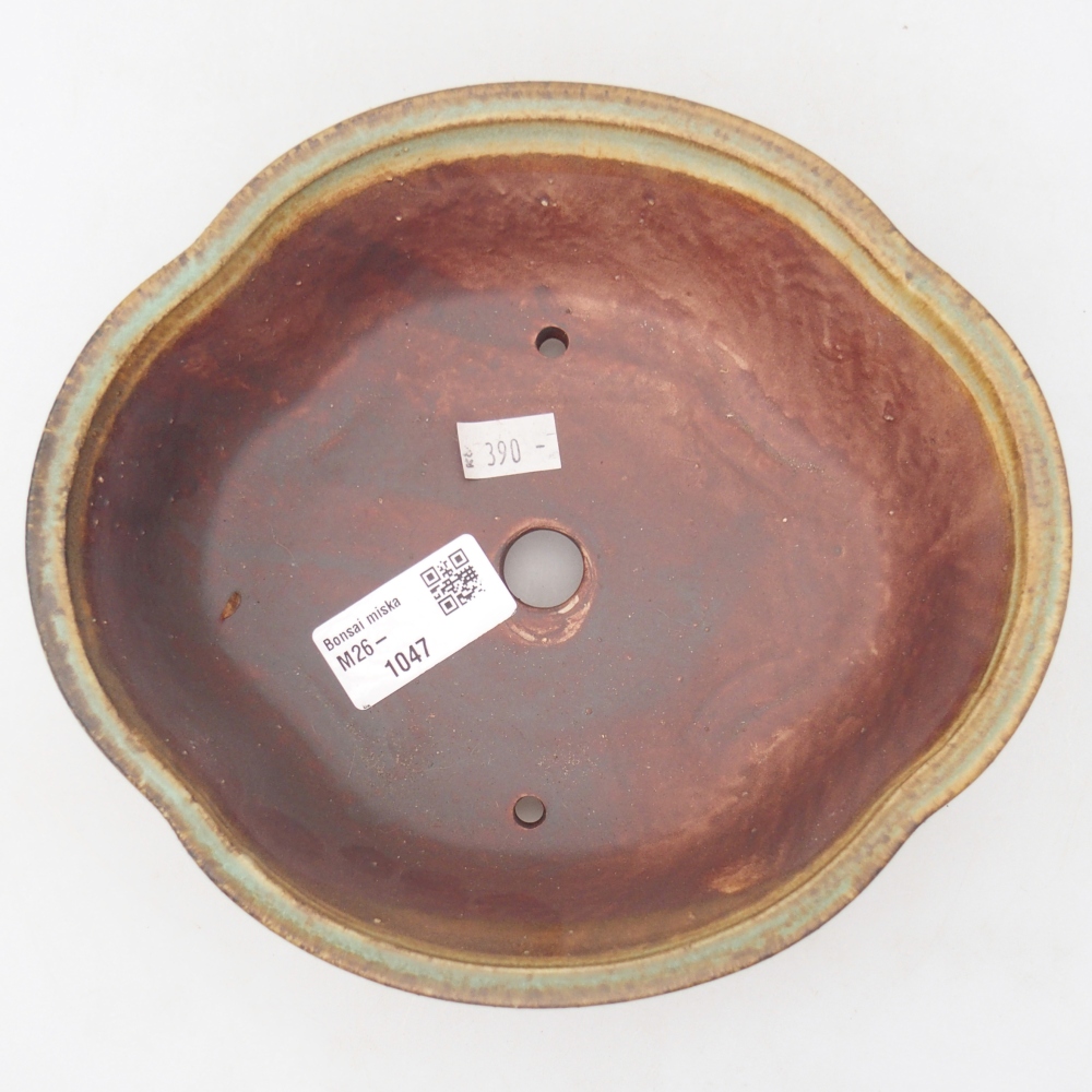 Ciotola bonsai in ceramica 18,5 x 17 x 6 cm, verde