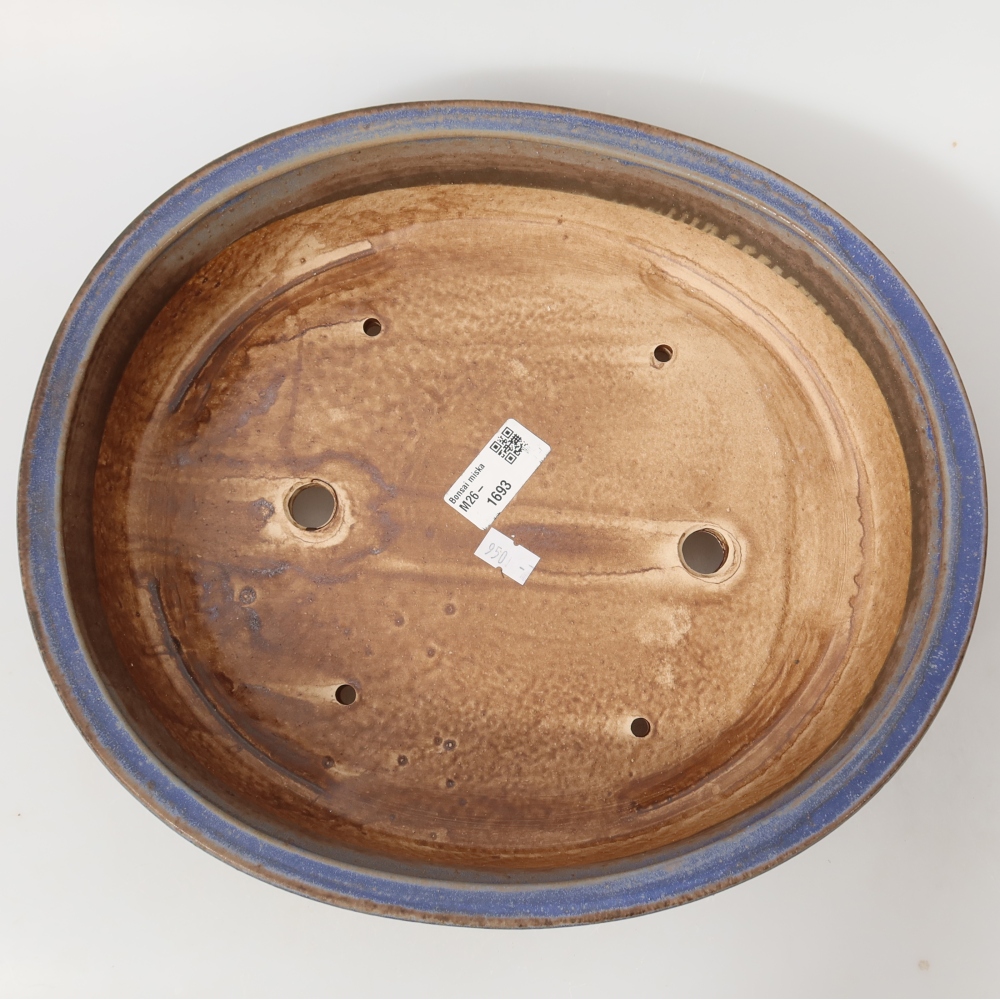 Vaso da bonsai in ceramica 31,5 x 27,5 x 7 cm, colore blu