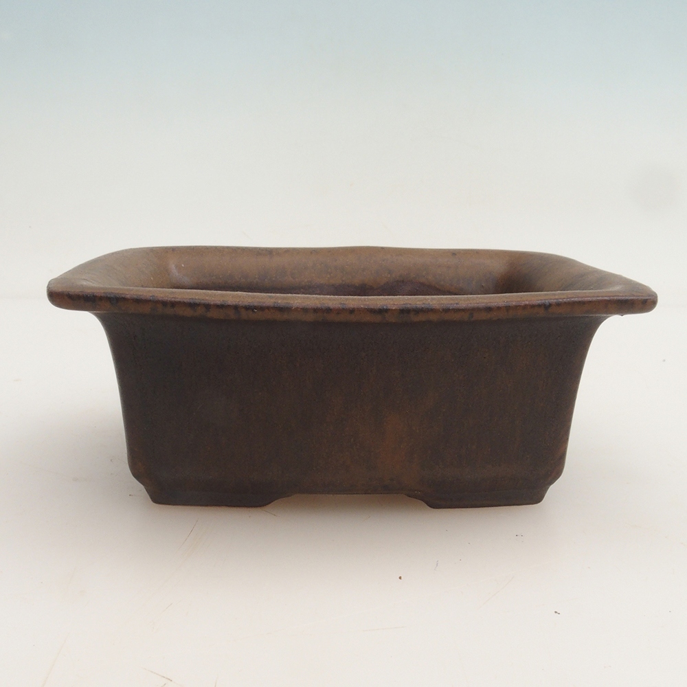 Ciotola bonsai + piattino H11 - 11,5 x 10 x 4 cm - marrone