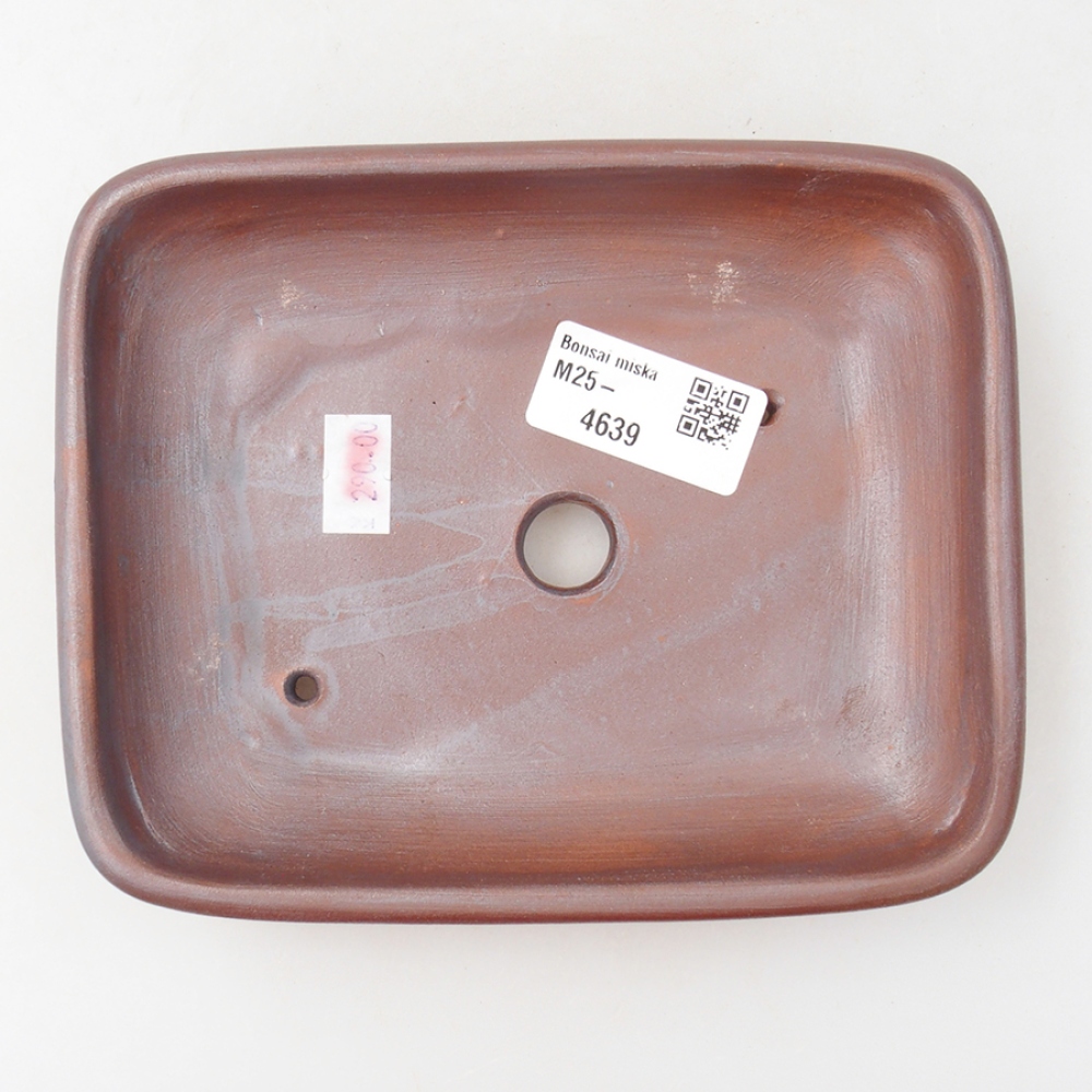 Ciotola bonsai in ceramica 17 x 13,5 x 3,5 cm, colore metallo