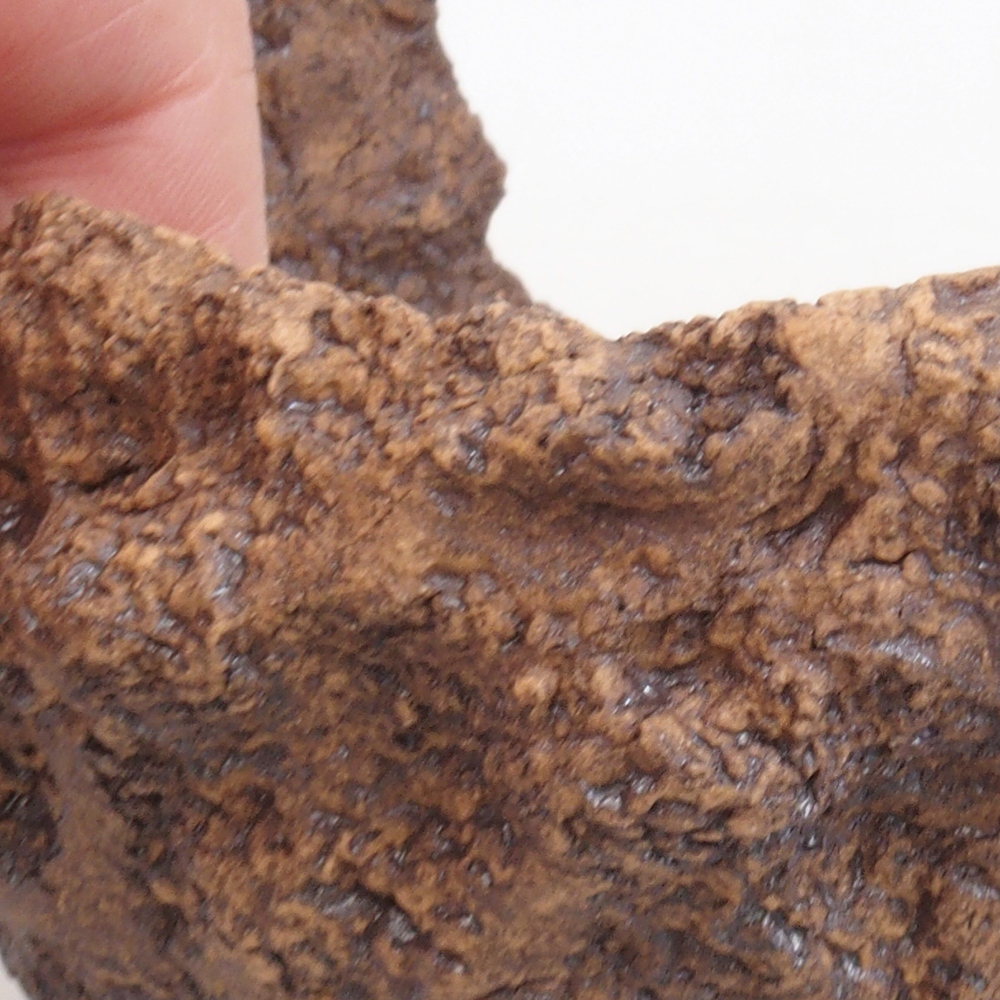 Conchiglia in ceramica 10 x 8 x 10 cm , colore marrone