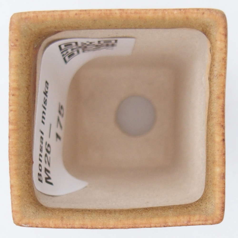 Ciotola per mini bonsai 3,5 x 3,5 x 5 cm, marrone