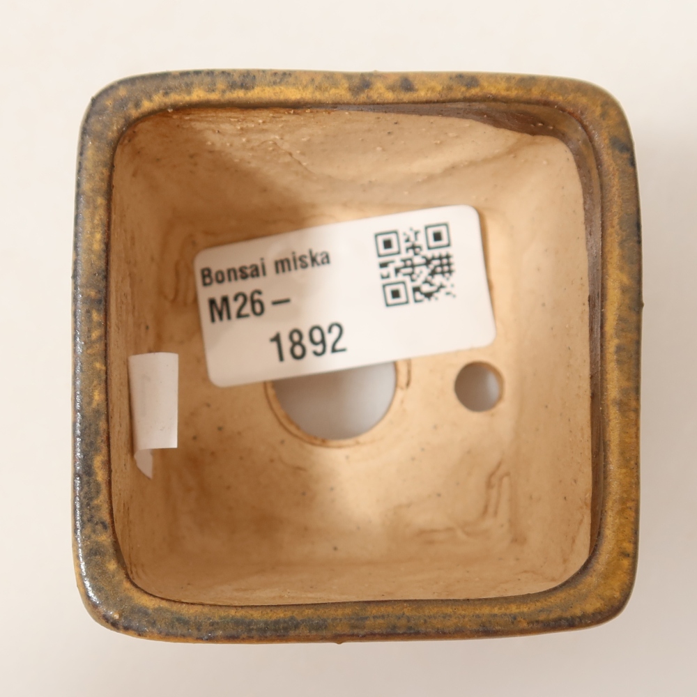 Vaso da bonsai in ceramica 6 x 6 x 5 cm, colore blu