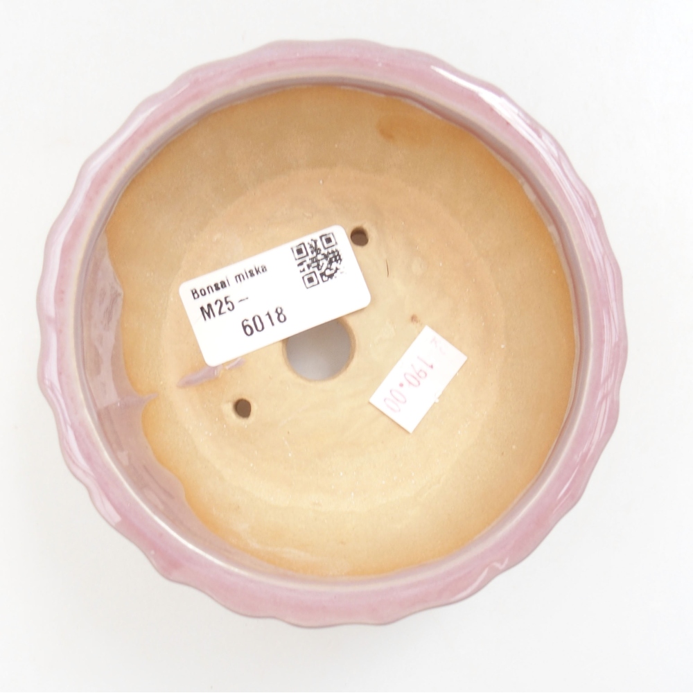 Ciotola bonsai in ceramica 22 x 17 x 5 cm, verde