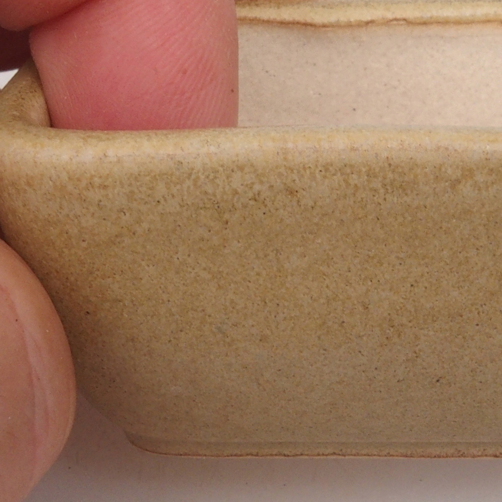 Ciotola per mini bonsai 5,5 x 4,5 x 2,5 cm, marrone