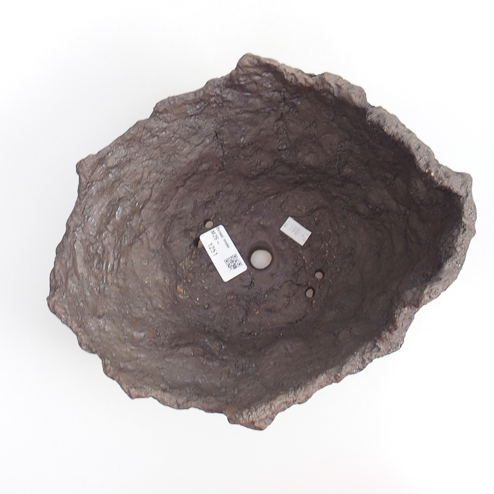 Conchiglia in ceramica 24 x 21 x 20 cm , colore marrone