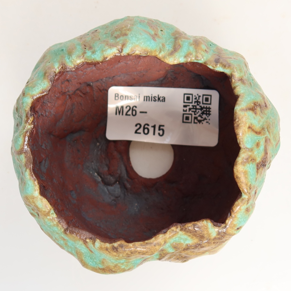 Guscio in ceramica  7 x 7 x 6 cm, colore verde