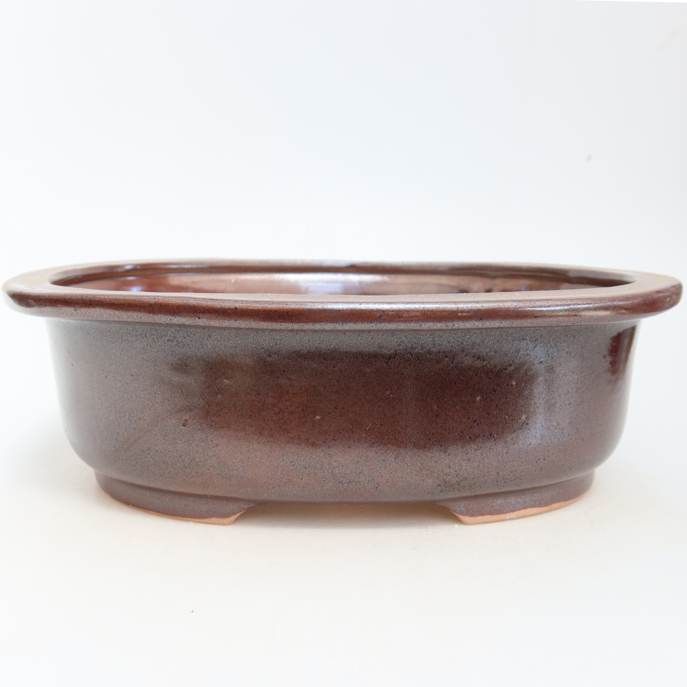 Ciotola per bonsai in ceramica 26 x 22 x 8 cm, marrone