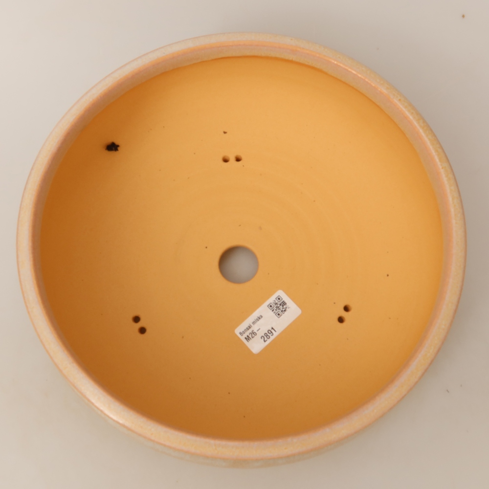 Vaso per bonsai in ceramica 24 x 24 x 9 cm, colore beige