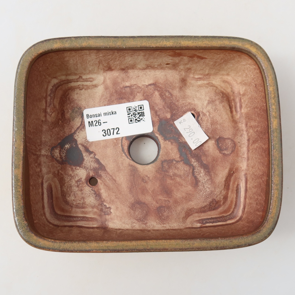 Ciotola per bonsai in ceramica 14 x 11,5 x 4,5 cm, marrone