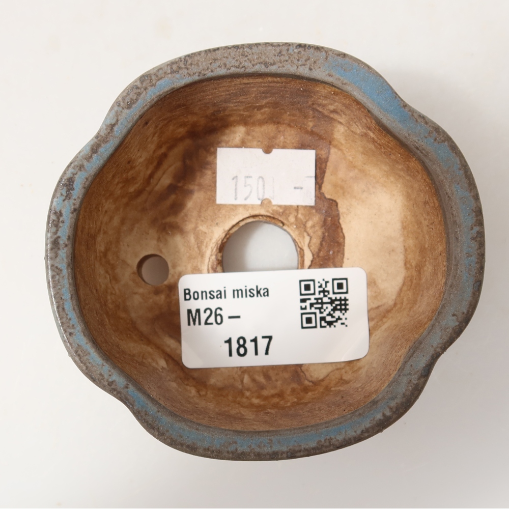 Vaso in ceramica per bonsai 8 x 7,5 x 3,5 cm, colore blu