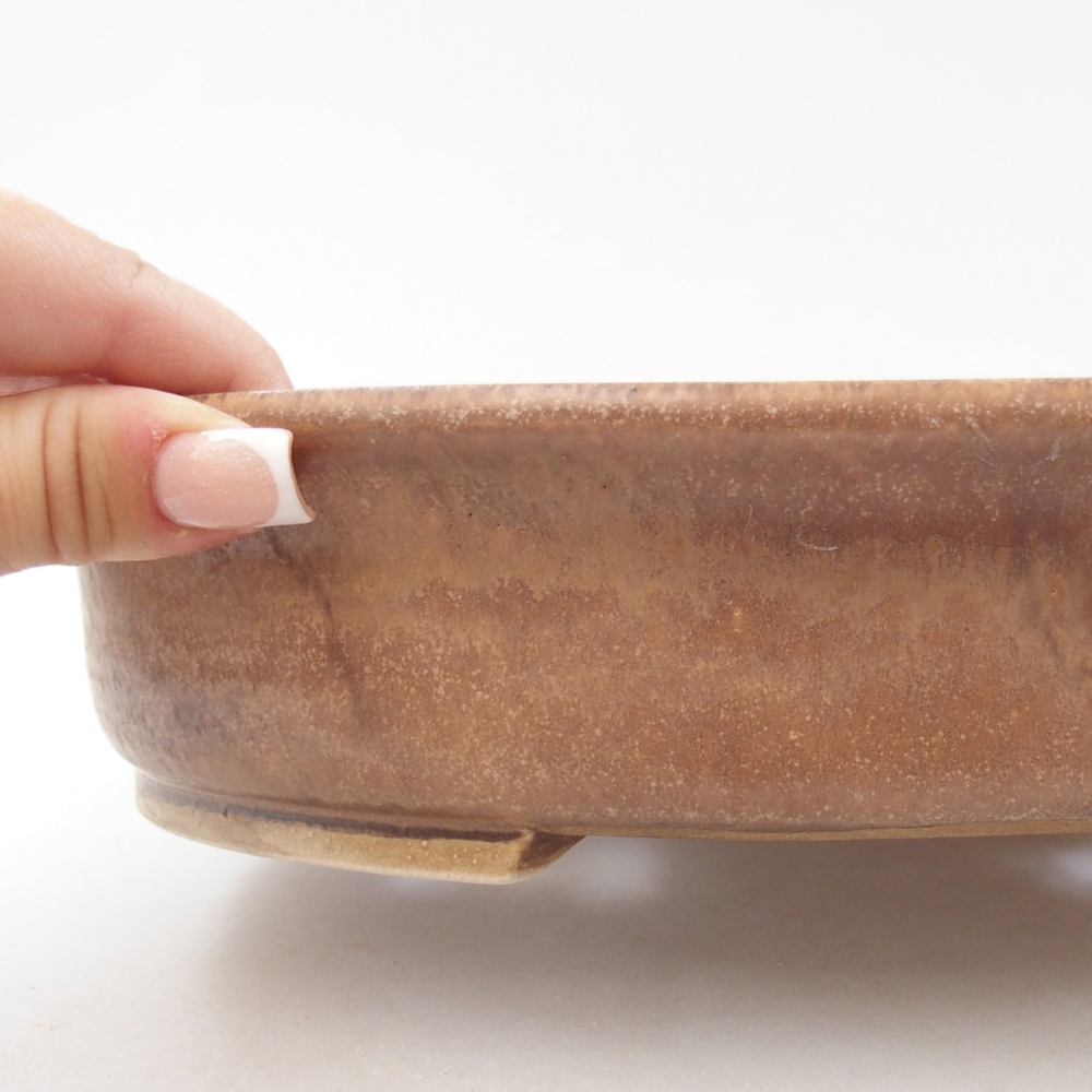 Ciotola bonsai in ceramica 26,5 x 23,5 x 5,5 cm, colore beige