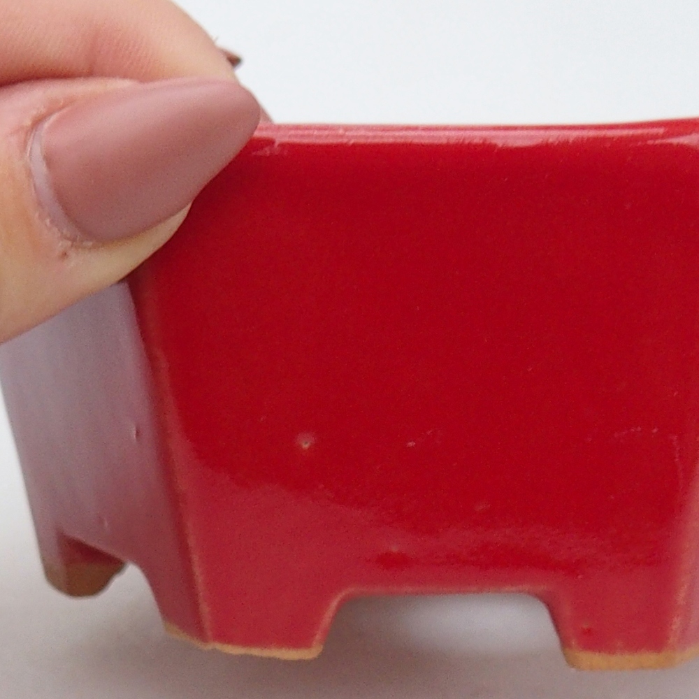 Ciotola per bonsai in ceramica 10,5 x 9,5 x 5 cm, colore rosso