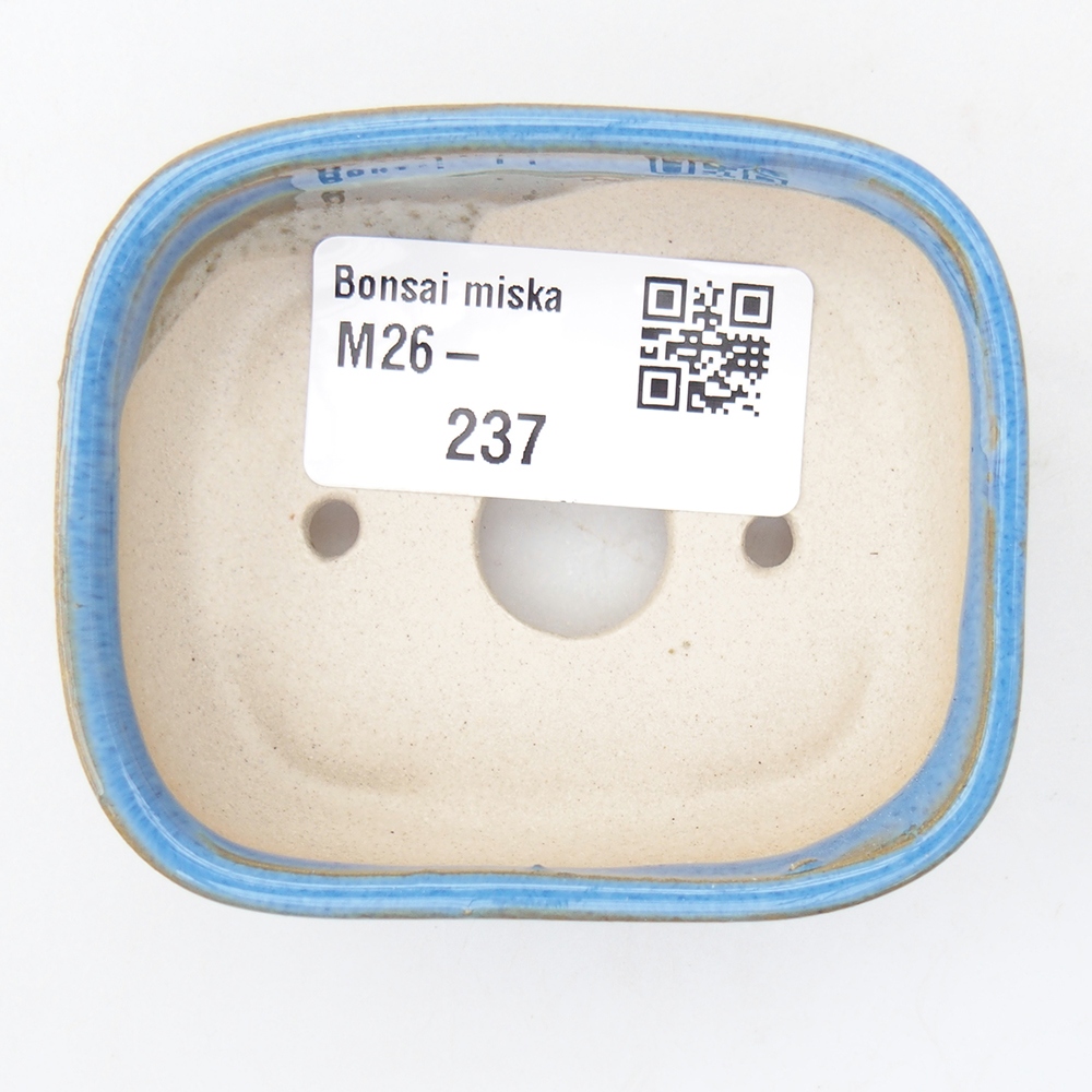 Mini bonsai 7 x 6 x 2,5 cm, colore blu
