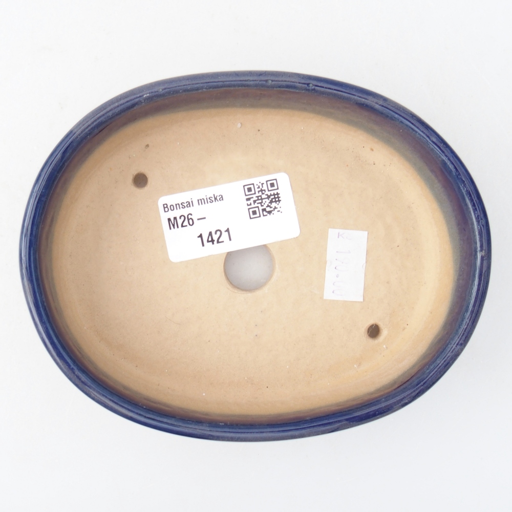 Ciotola per bonsai in ceramica 12,5 x 10 x 3,5 cm, colore blu