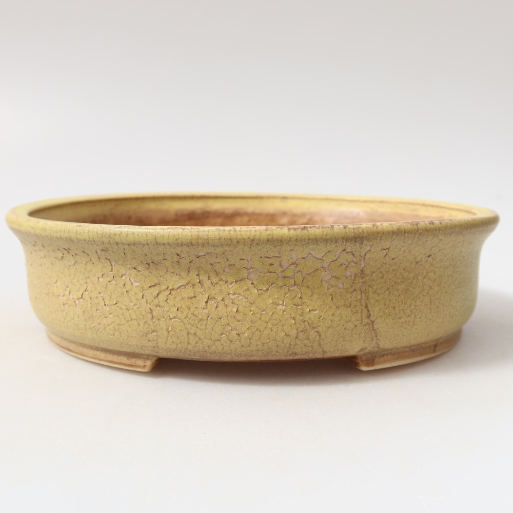 Vaso da bonsai in ceramica 18 x 16,5 x 4,5 cm, colore giallo