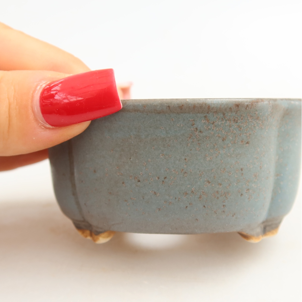 Vaso in ceramica per bonsai 8 x 7,5 x 3,5 cm, colore blu