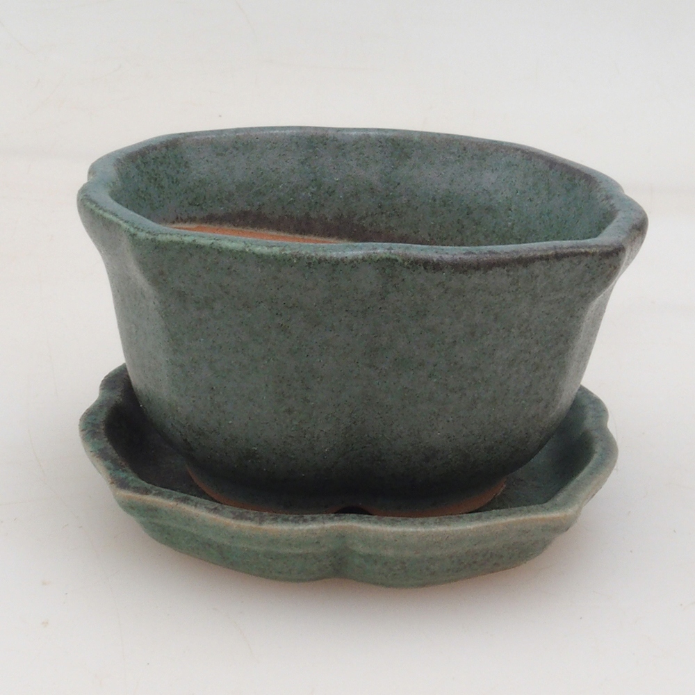 Ciotola bonsai + piattino H95 - verde