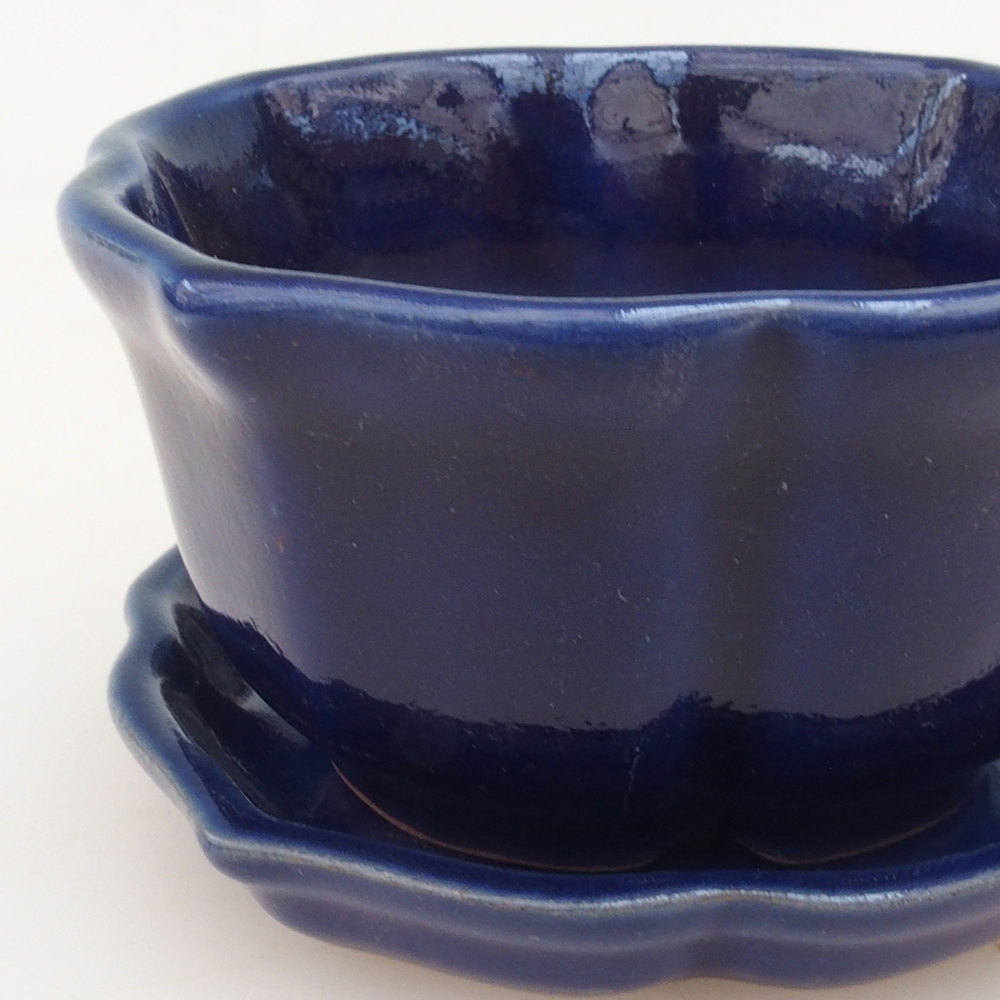 Ciotola bonsai + piattino H95 - blu