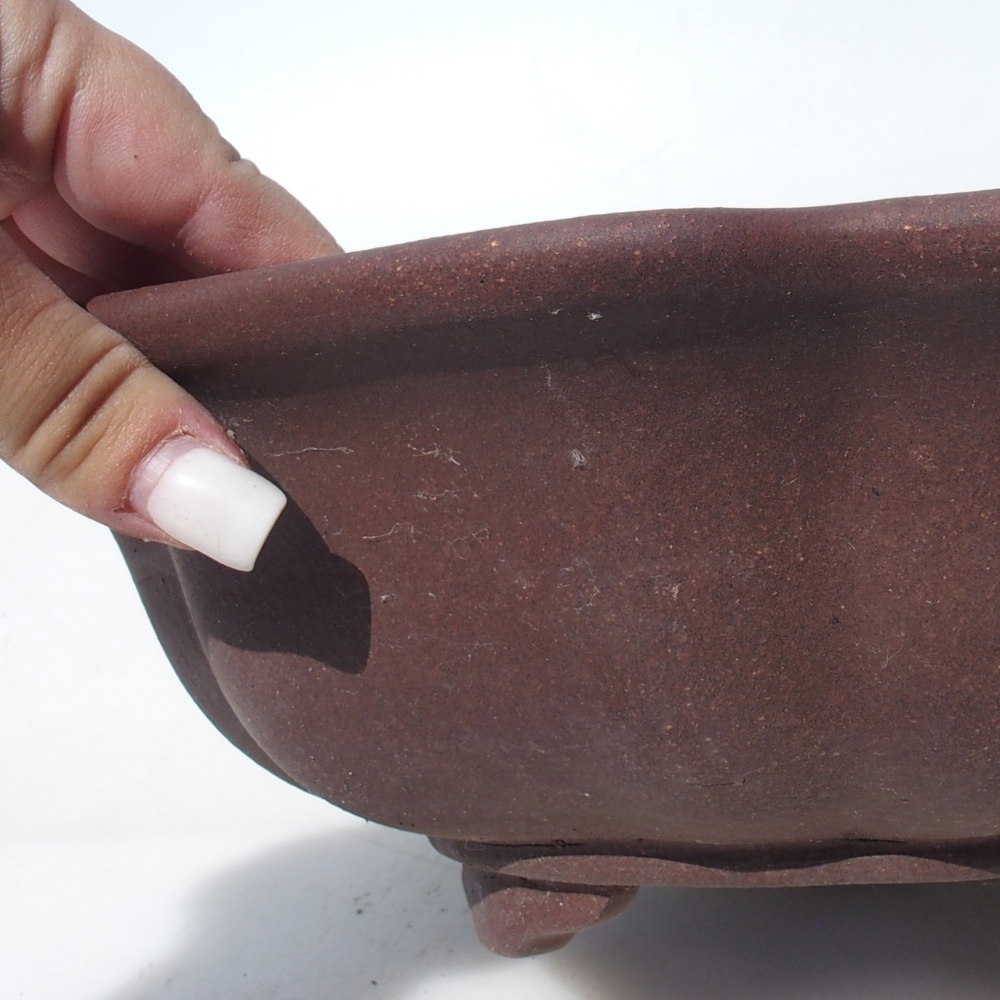 Ciotola bonsai 28 x 28 x 9,5 cm betulla marrone