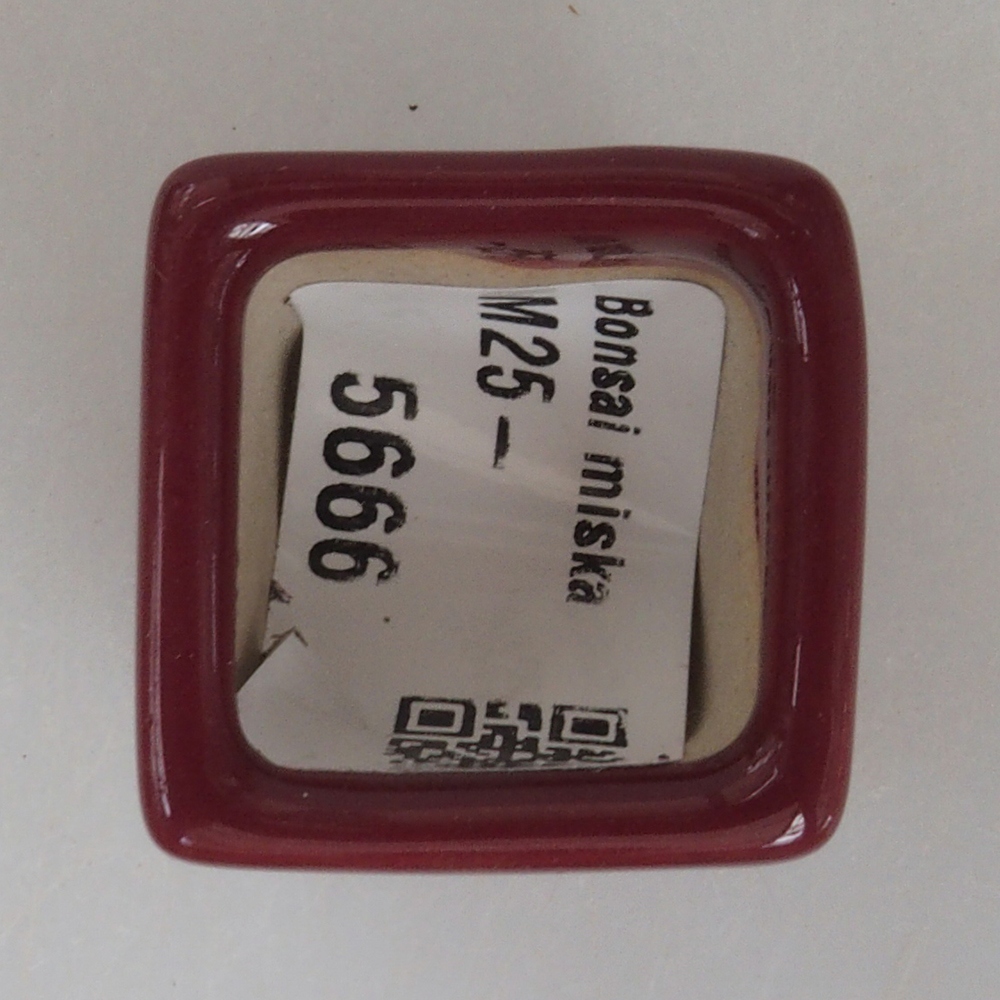 Ciotola per mini bonsai 3 x 3 x 3,5 cm, bordeaux