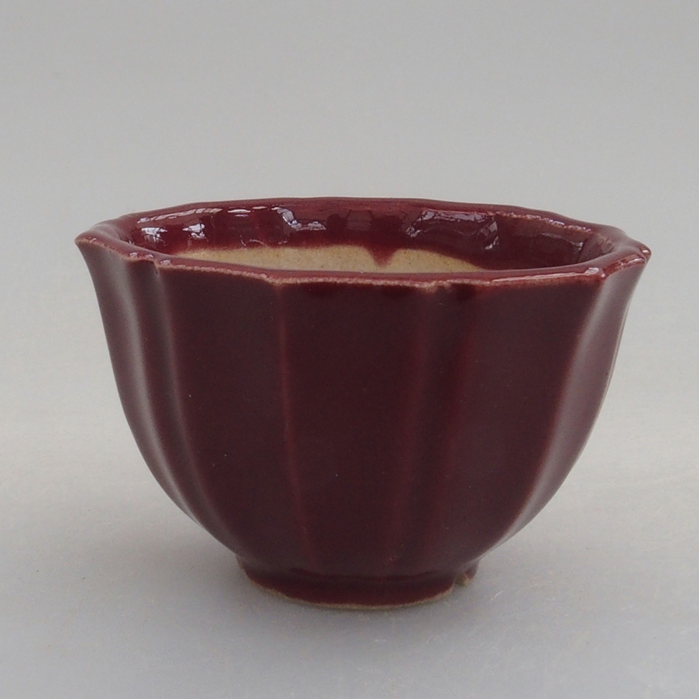 Ciotola per mini bonsai 5 x 5 x 3 cm, bordeaux