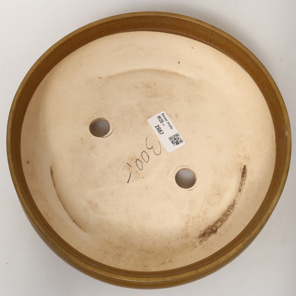 Conchiglia in ceramica  24 x 24 x 7,5 cm, colore marrone