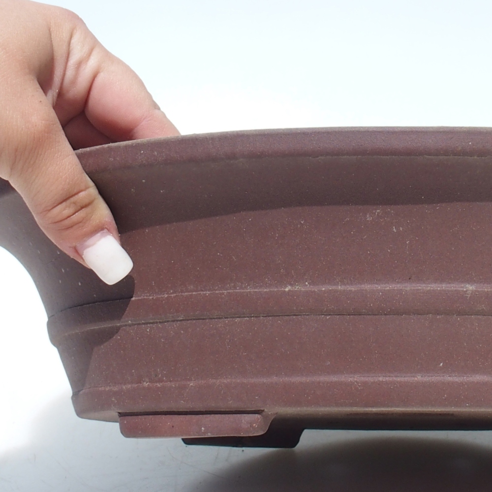 Ciotola bonsai 33 x 27 x 8,5 cm betulla marrone