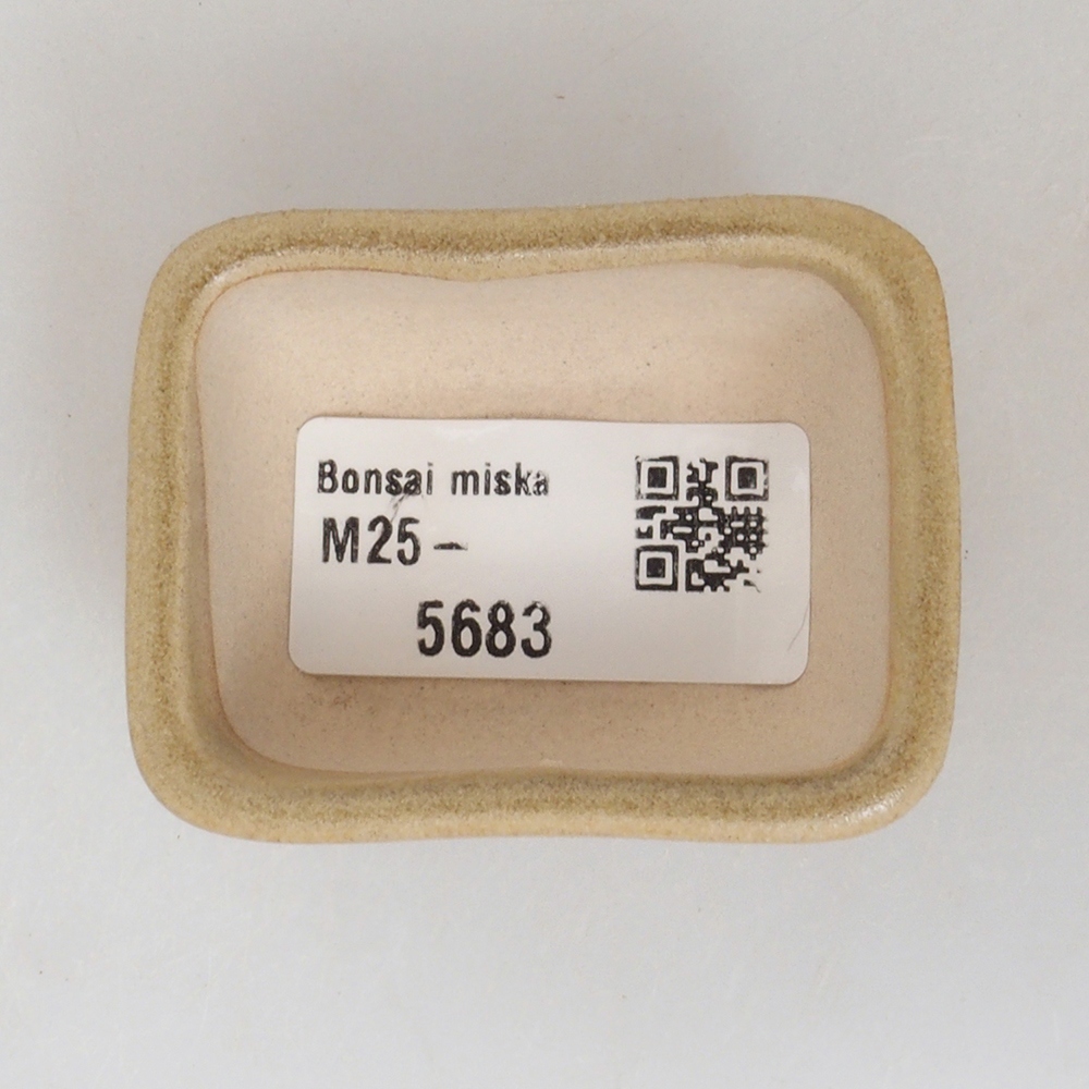 Ciotola per mini bonsai 5,5 x 4,5 x 2,5 cm, marrone