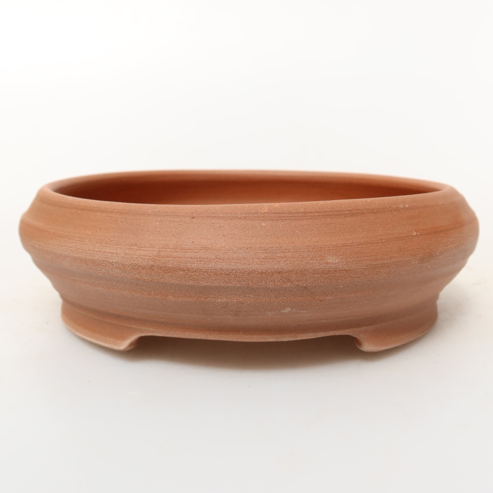 Conchiglia in ceramica  13 x 10,5 x 5,5 cm, colore grezzo