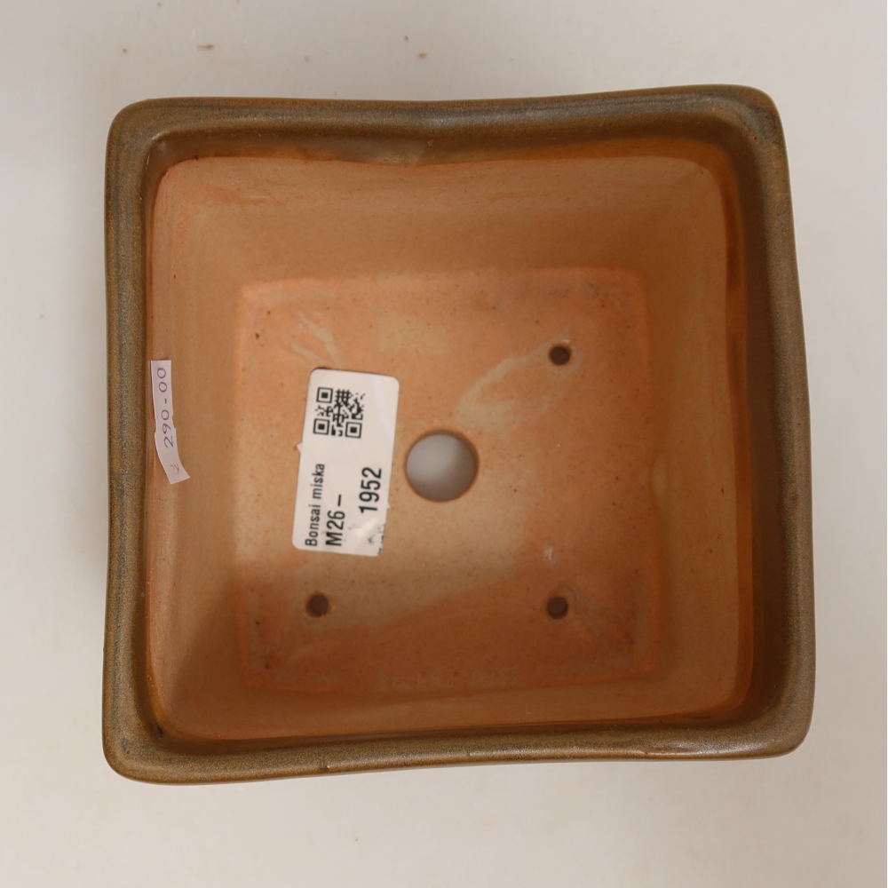 Ciotola bonsai in ceramica 11 x 11 x 8,5 cm, marrone