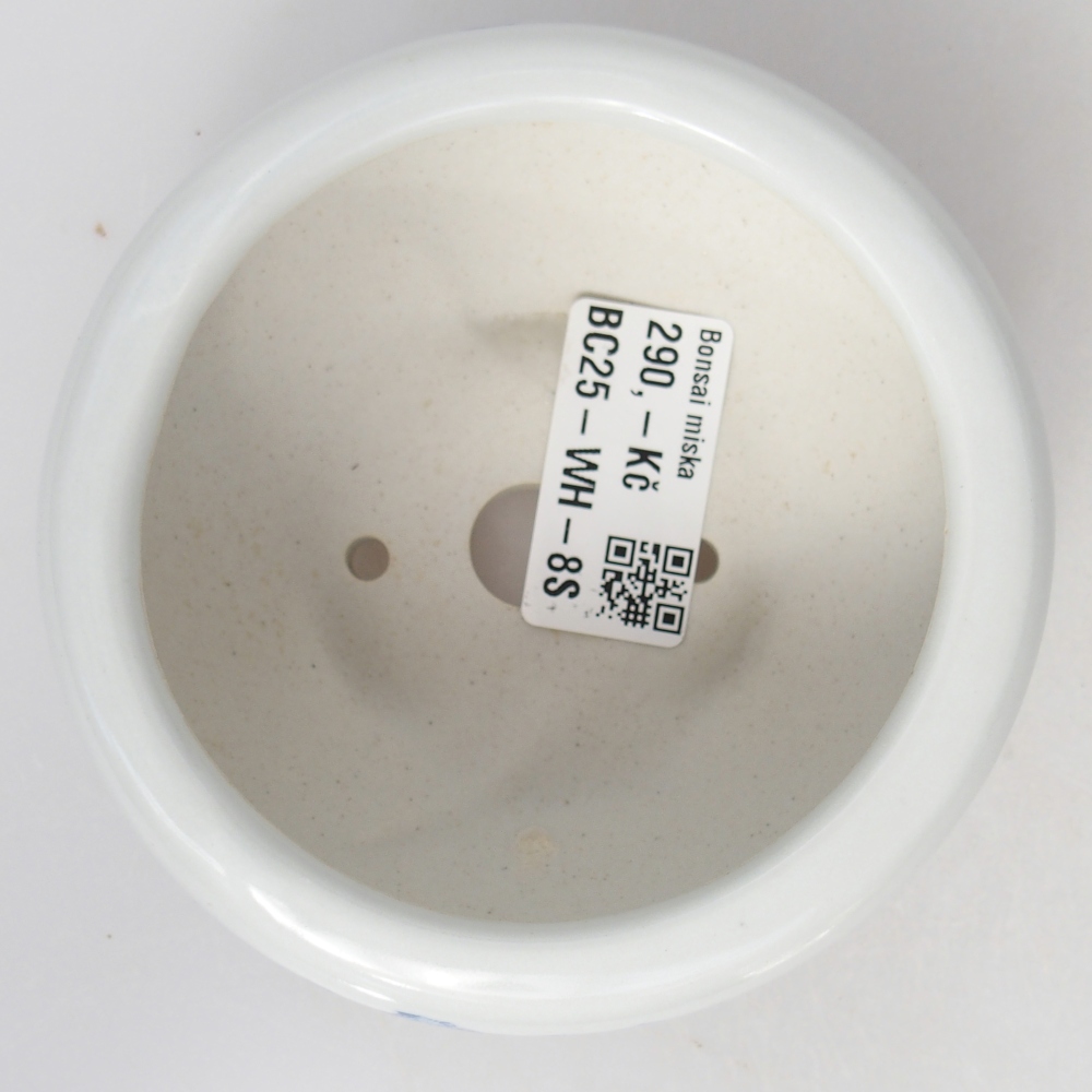 Ciotola per bonsai in ceramica 10 x 10 x 5 cm, colore bianco