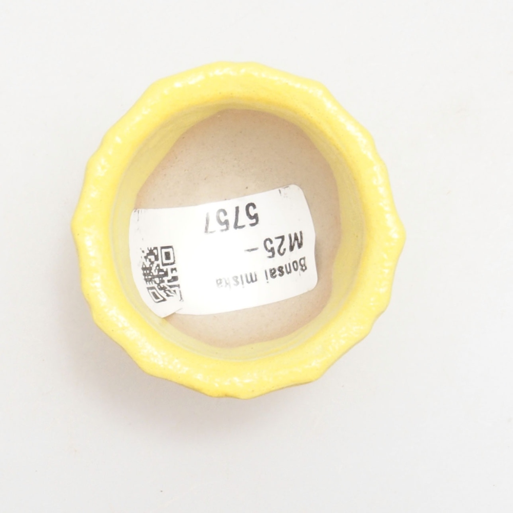 Ciotola bonsai in ceramica 5 x 5 x 3 cm, giallo