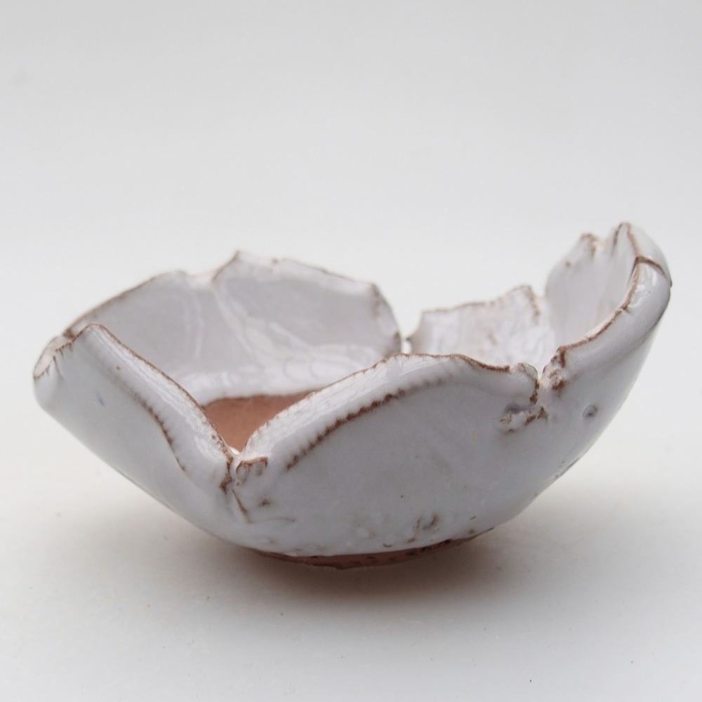 Conchiglia in ceramica 9 x 8 x 5 cm , colore bianco