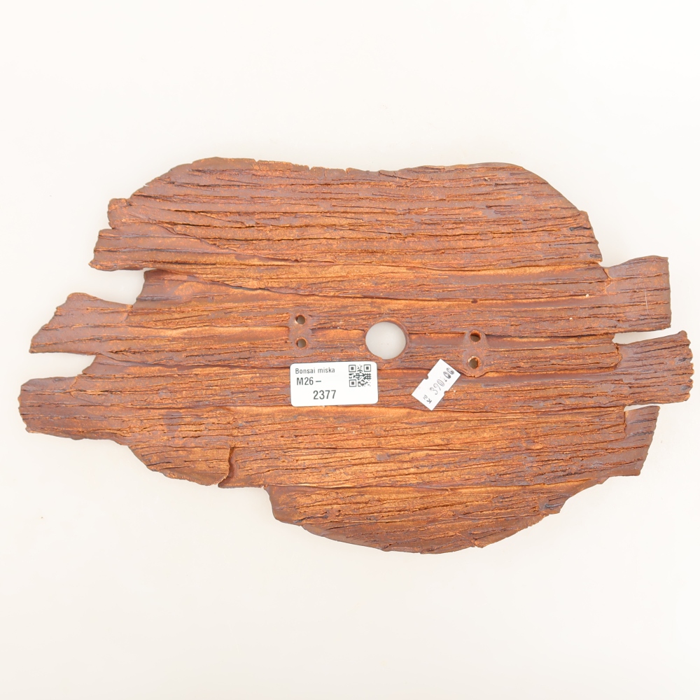 Guscio in ceramica  30,5 x 18 x 3,5 cm, colore marrone